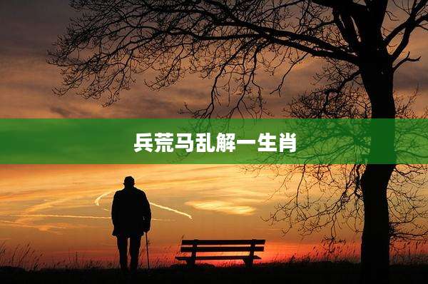 兵荒马乱解一生肖