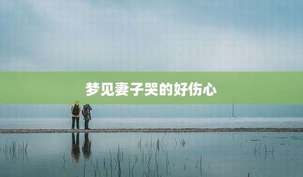梦见妻子哭的好伤心