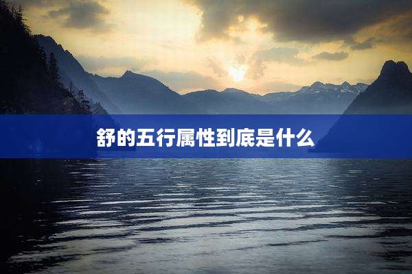 舒的五行属性到底是什么