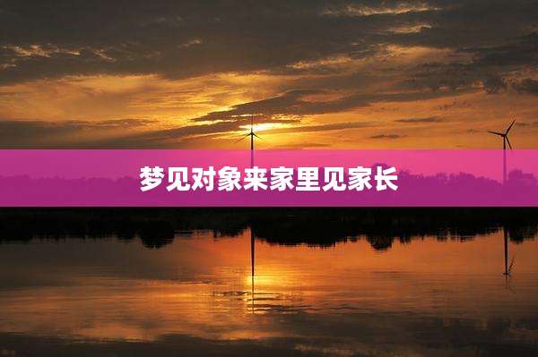 梦见对象来家里见家长