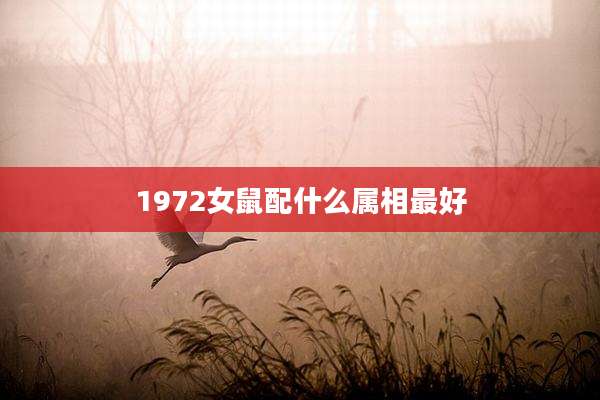 1972女鼠配什么属相最好