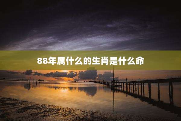 88年属什么的生肖是什么命