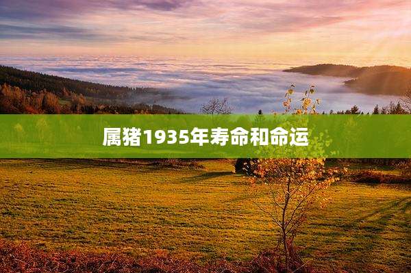 属猪1935年寿命和命运