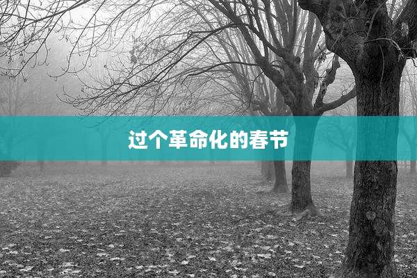 过个革命化的春节