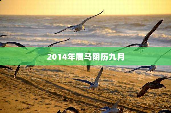 2014年属马阴历九月