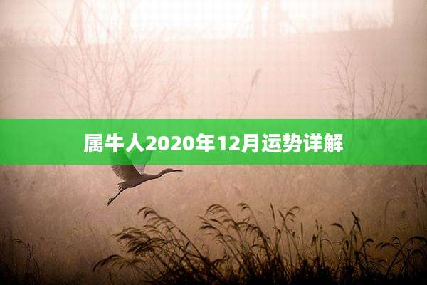 属牛人2020年12月运势详解