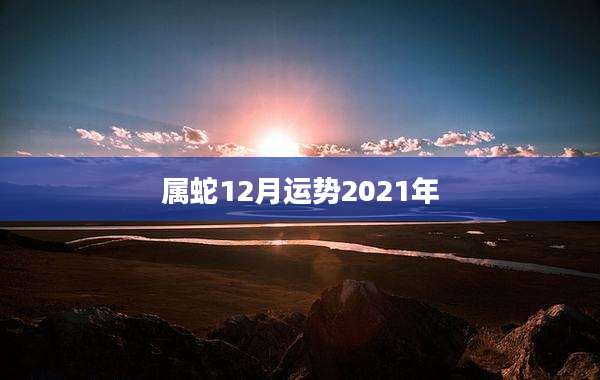 属蛇12月运势2021年