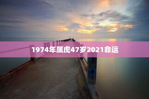 1974年属虎47岁2021命运