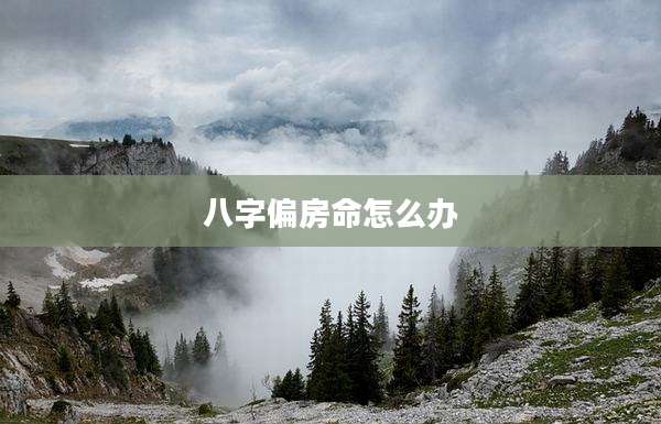 八字偏房命怎么办