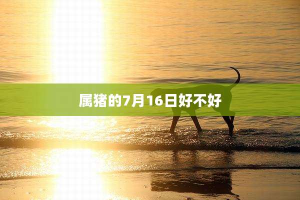 属猪的7月16日好不好