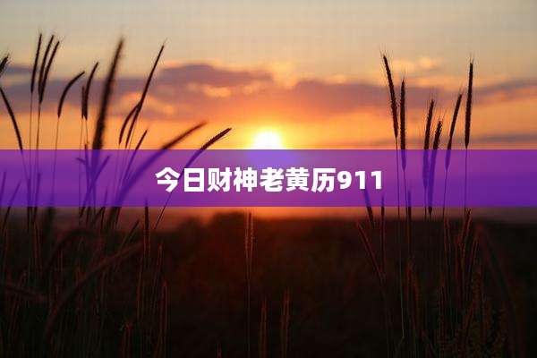 今日财神老黄历911
