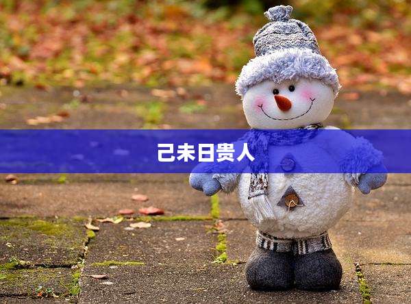 己未日贵人