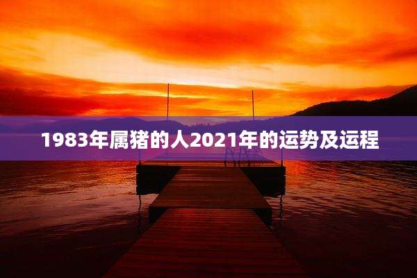 1983年属猪的人2021年的运势及运程