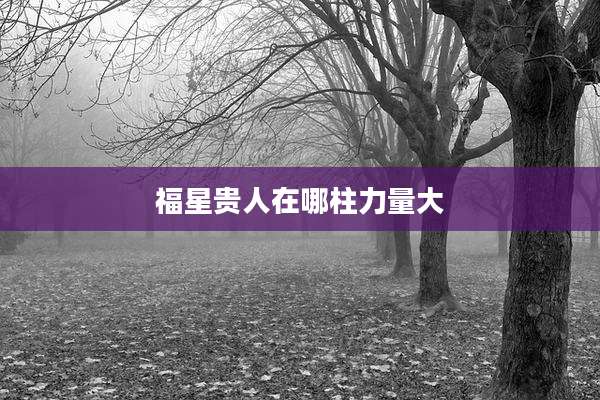 福星贵人在哪柱力量大