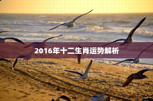 2016年十二生肖运势解析