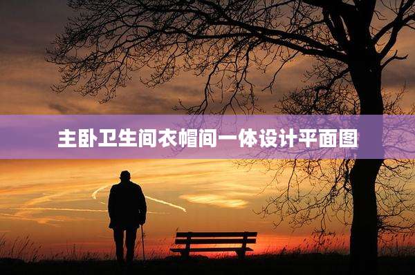 主卧卫生间衣帽间一体设计平面图