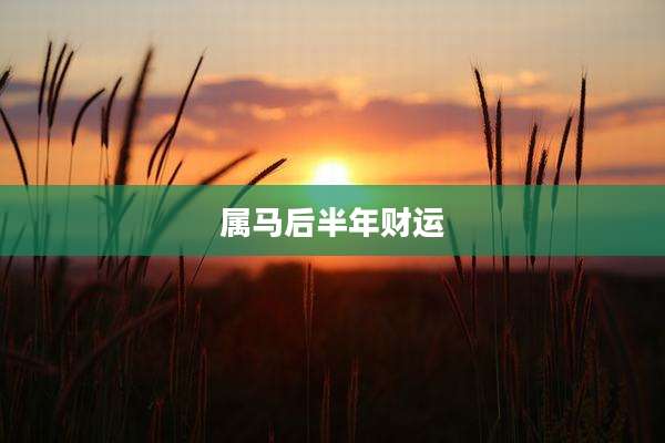 属马后半年财运