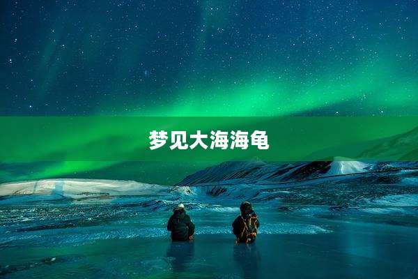 梦见大海海龟