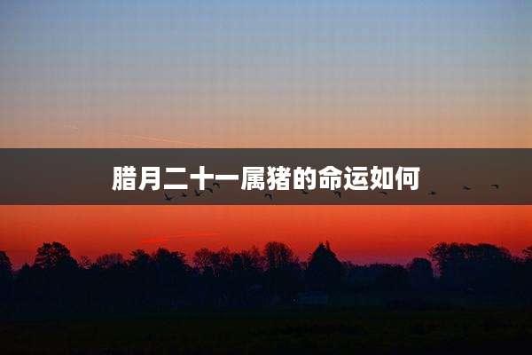 腊月二十一属猪的命运如何