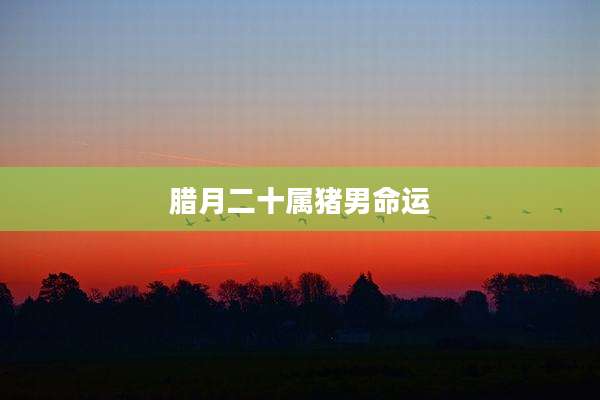 腊月二十属猪男命运