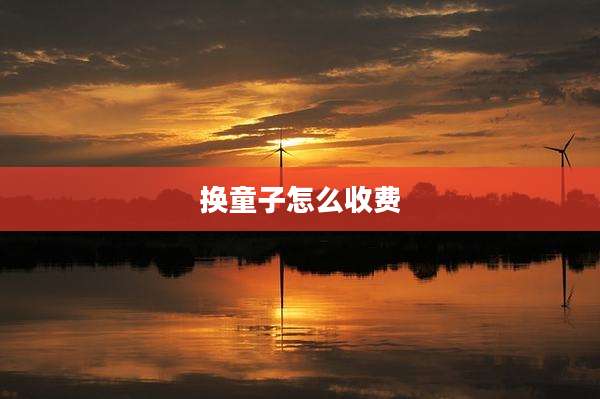 换童子怎么收费