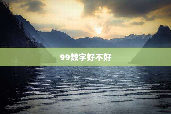 99数字好不好