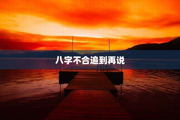 八字不合追到再说