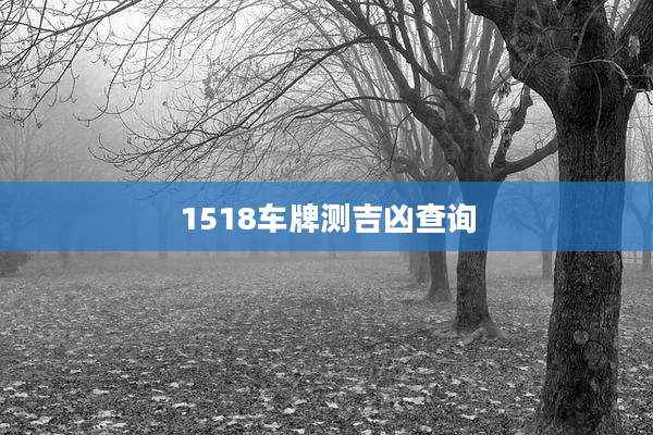 1518车牌测吉凶查询