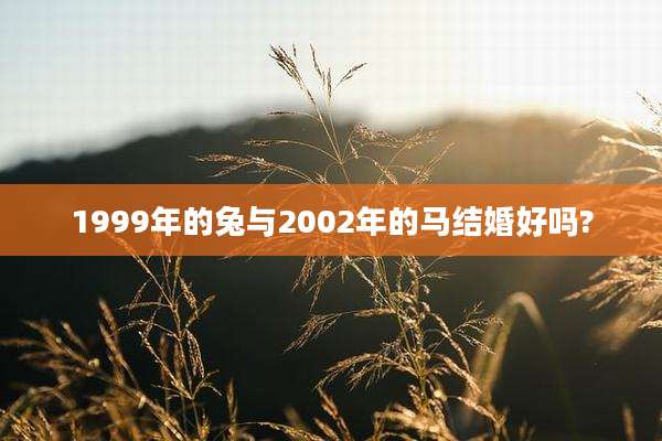 1999年的兔与2002年的马结婚好吗?