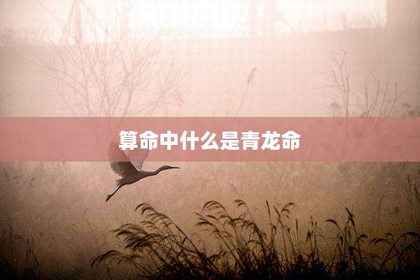 算命中什么是青龙命