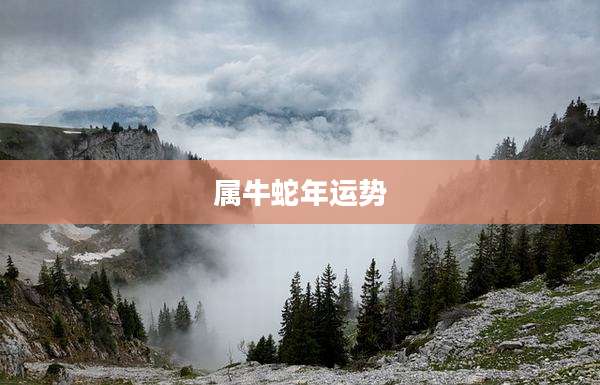 属牛蛇年运势
