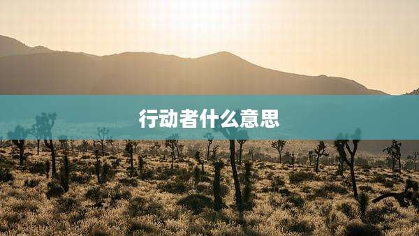 行动者什么意思