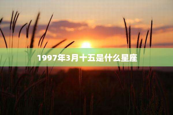 1997年3月十五是什么星座
