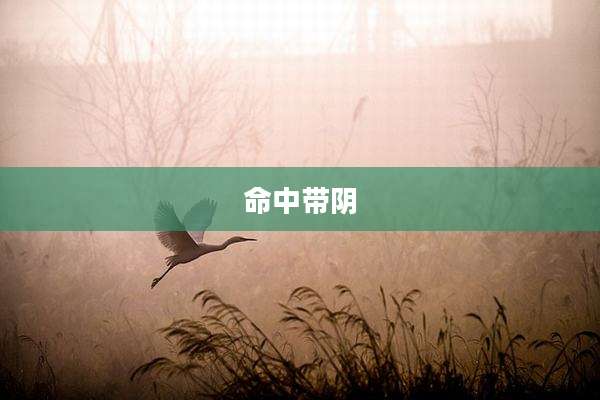 命中带阴