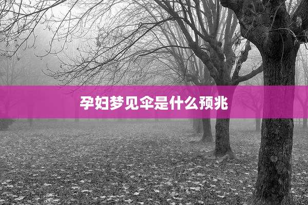 孕妇梦见伞是什么预兆