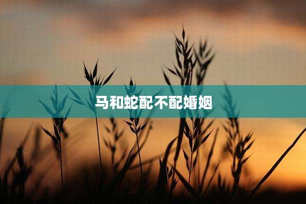 马和蛇配不配婚姻