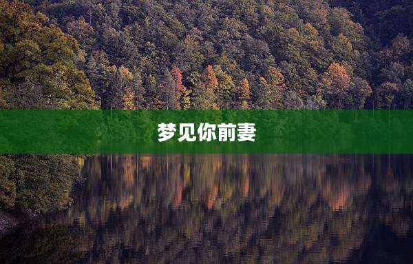 梦见你前妻