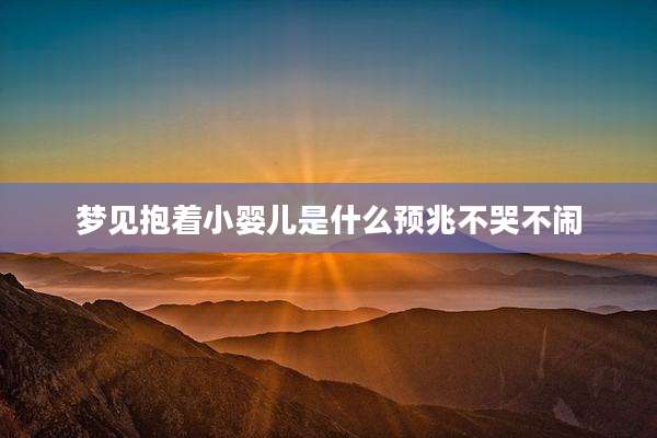 梦见抱着小婴儿是什么预兆不哭不闹