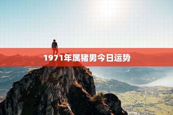 1971年属猪男今日运势