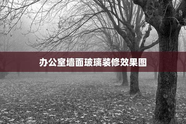 办公室墙面玻璃装修效果图