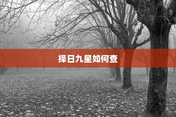择日九星如何查