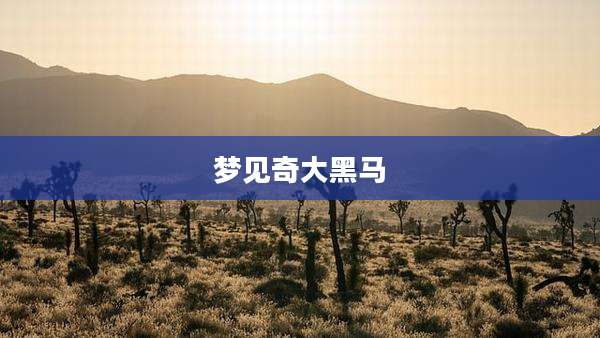 梦见奇大黑马