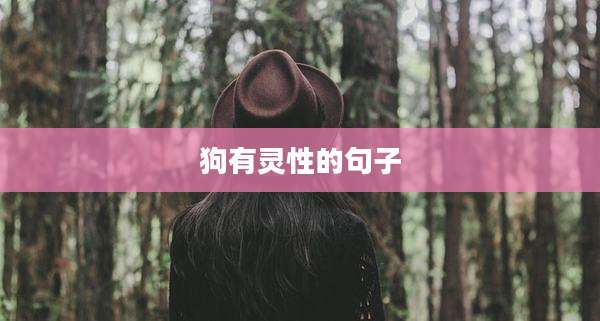 狗有灵性的句子