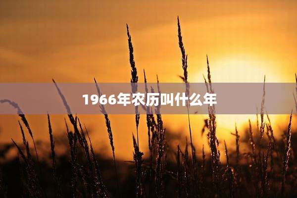 1966年农历叫什么年