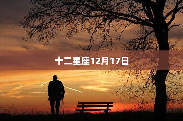 十二星座12月17日