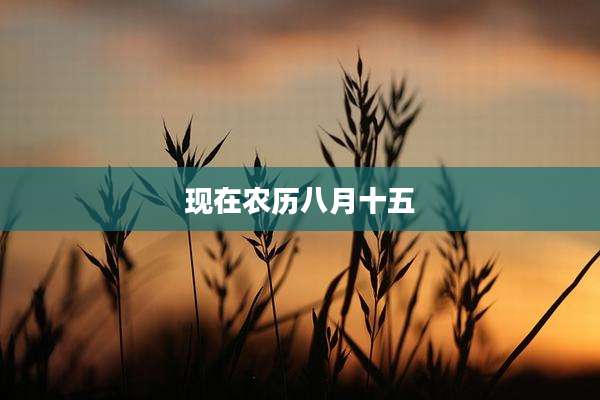 现在农历八月十五