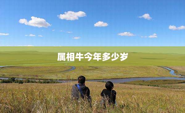 属相牛今年多少岁