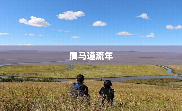 属马逢流年