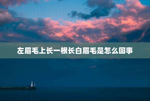 左眉毛上长一根长白眉毛是怎么回事
