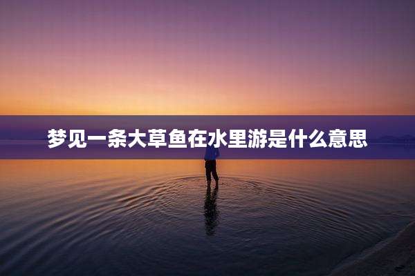 梦见一条大草鱼在水里游是什么意思